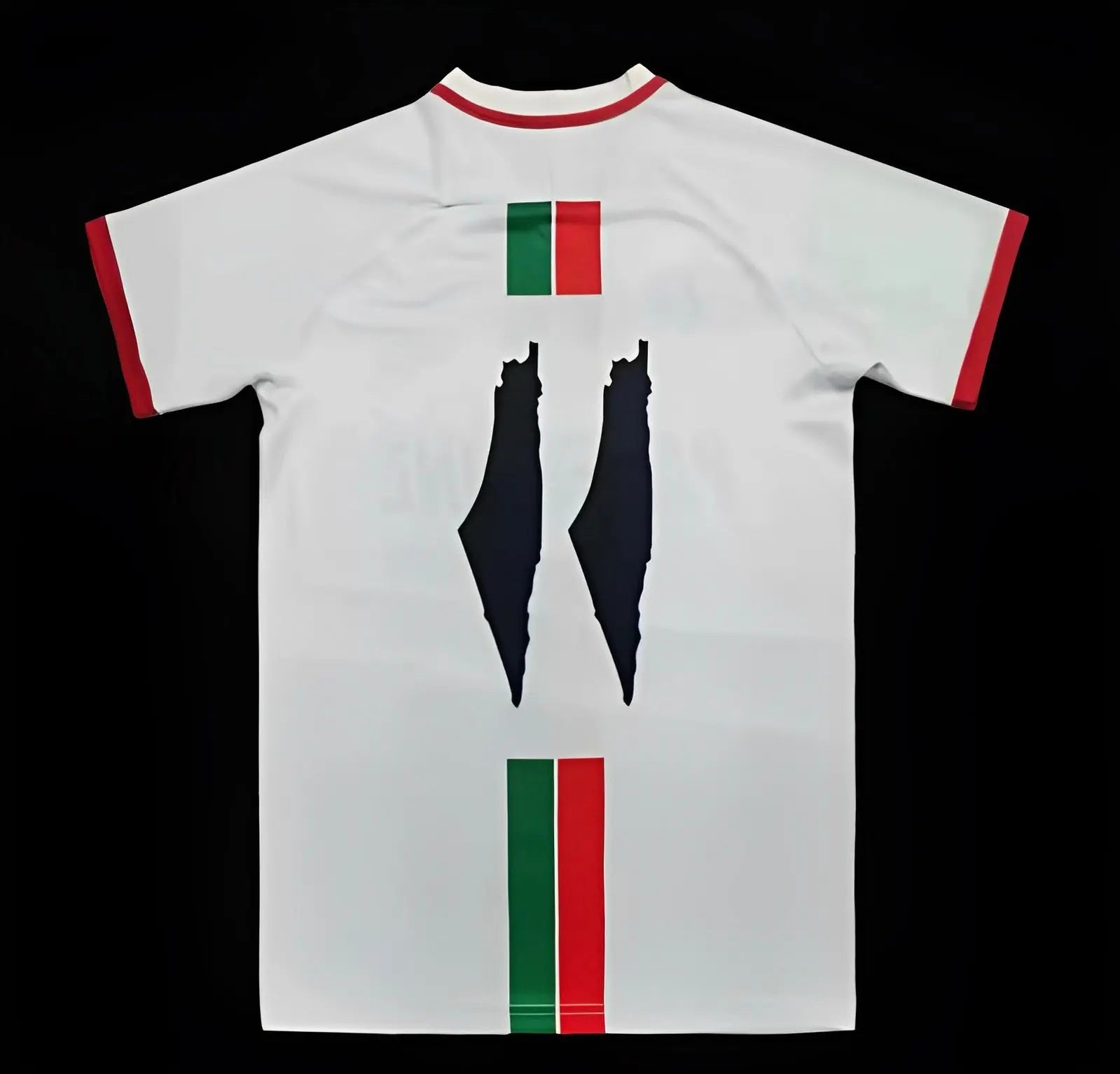 Palestine maillot Édition spéciale Blanc 2023 2024 L'Univers Du Maillot