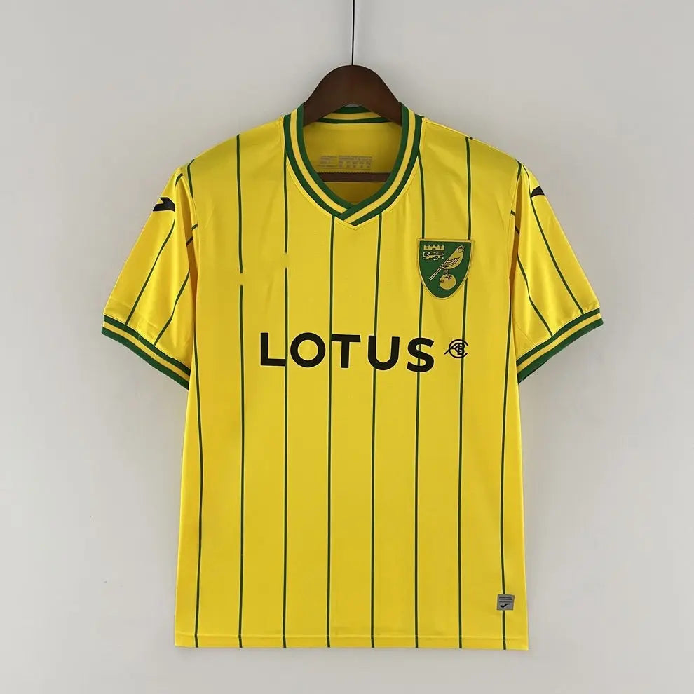 Norwich maillot Domicile 2022 2023 L'Univers Du Maillot