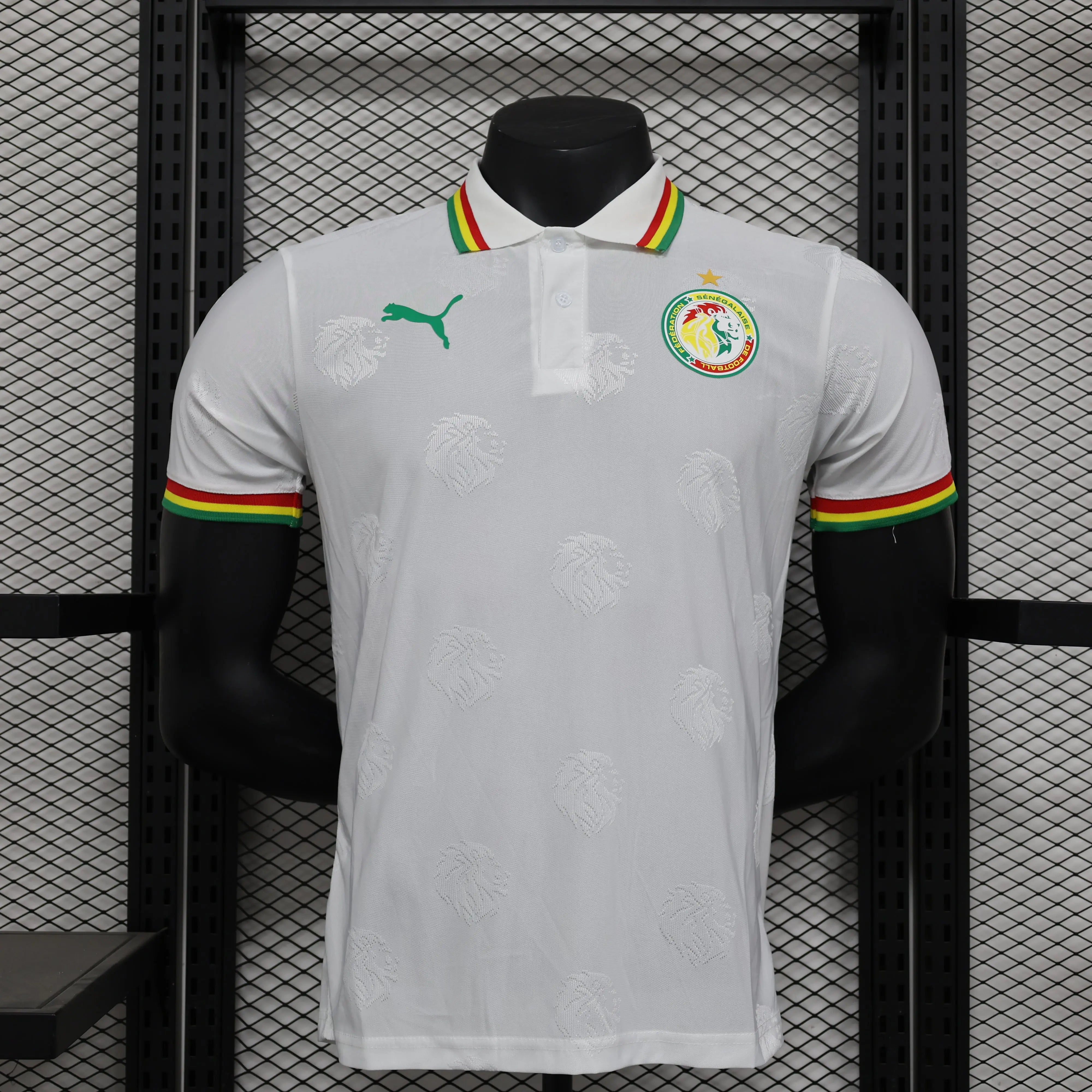 Maillot PLAYER 24/25 Sénégal Spécial Blanc L'Univers Du Maillot