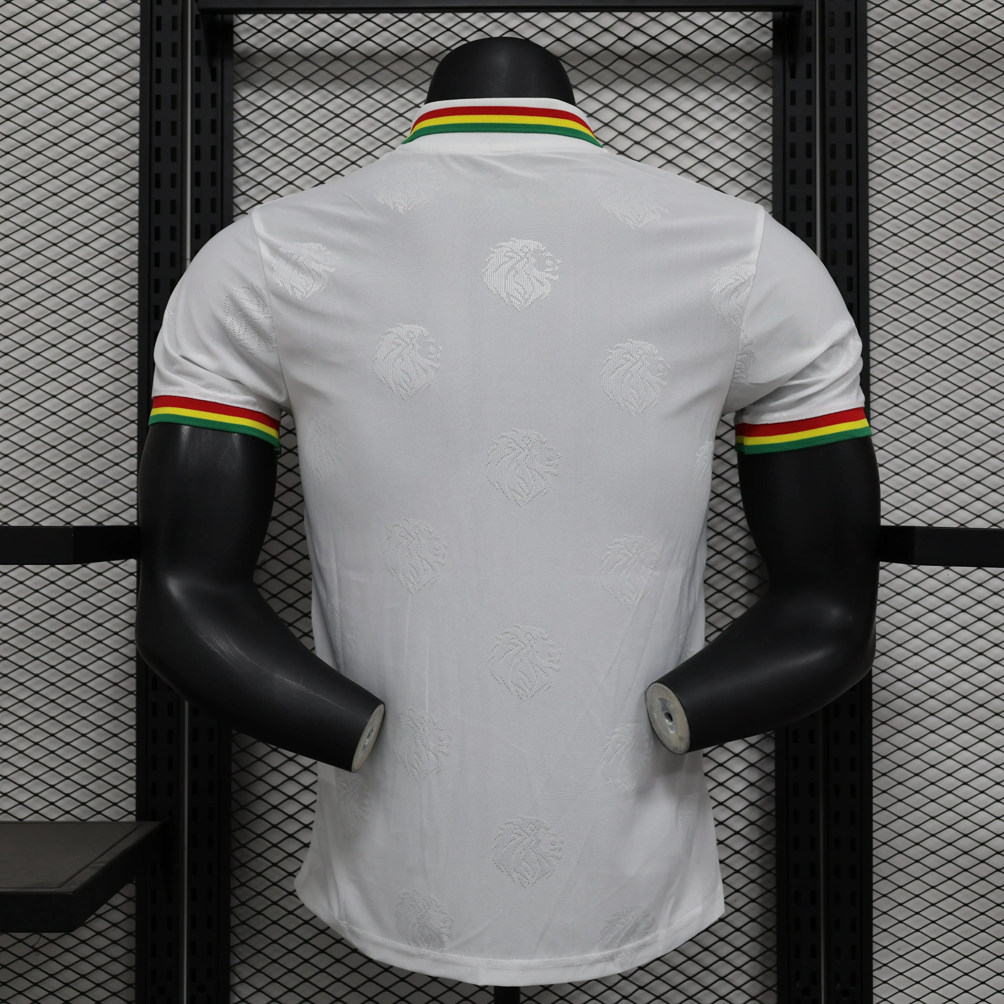 Maillot PLAYER 24/25 Sénégal Spécial Blanc L'Univers Du Maillot